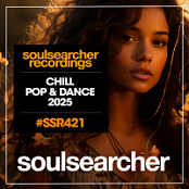 Various Artists - Chill Pop & Dance 2025 - 2025 - FLAC 16BITS 44.1KHZ-EICHBAUM