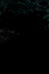 Uncle S01E06 HDTV x264-DOCERE[eztv]