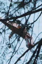 Timber Titans S01E08 480p x264-mSD EZTV