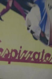 American Pickers S24E18 480p x264-mSD EZTV