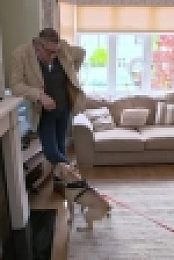 Dogs Behaving Badly S03E06 XviD-AFG EZTV