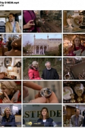 Antiques Road Trip S19 E06-E10 (1280x720p HD, 50fps, soft Eng subs)