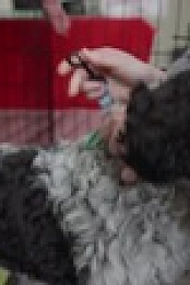 Barkley Manor S02E07 XviD-AFG EZTV