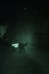 Dog Squad S11E02 XviD-AFG EZTV
