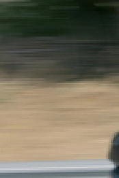 Roadkill S13E10 1080p WEB h264-EDITH EZTV