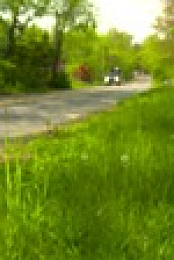 Ask This Old House S19E25 720p WEB h264-BAE EZTV