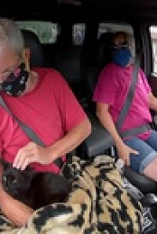 The Incredible Dr Pol S19E02 480p x264-mSD EZTV