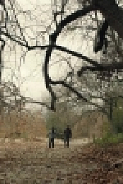 Fear the Walking Dead S06E01 720p WEB H264-CAKES EZTV