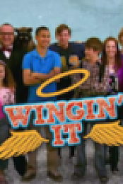 Wingin' It Complete Series {SystemsDown}