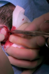Skin A And E S06E07 1080p WEB H264-CBFM EZTV