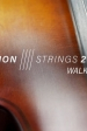 Native Instruments | Session Strings 2 [KONTAKT Library] [BLT]