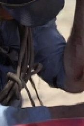 Outback Ringer S01E03 1080p HDTV H264-CBFM EZTV