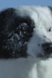 Stormborn S01E01 XviD-AFG EZTV