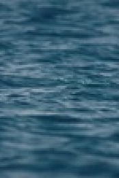 The Humboldt Current S01E01 XviD-AFG EZTV