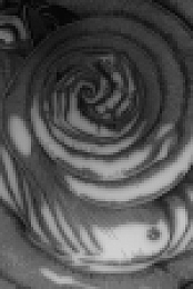 Uzumaki S01E01 XviD-AFG EZTV