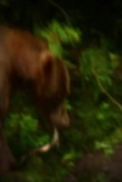 First Blood S01E02 480p x264-mSD EZTV