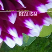 Joe Morris & Elliott Sharp - Realism (2025) FLAC