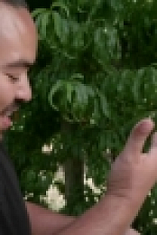Destination Flavour Down Under S01E02 720p WEB h264-WEBTUBE EZTV