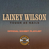 REDISCOVER Lainey Wilson.2026.WEB.FLAC.[16BITS.44.1KHZ]-EICHBAUM