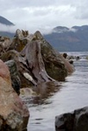 Chefs vs Wild S01E03 480p x264-mSD EZTV