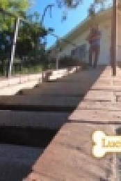 Lucky Dog S07E16 Ash WEB x264-LiGATE [eztv]
