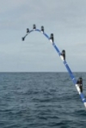 Wicked Tuna S08E15 The Final Tail 480p x264-mSD [eztv]
