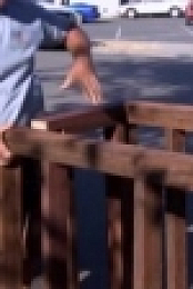 Yardcore S02E01 Craftsman Courtyard WEB x264-LiGATE [eztv]