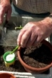 The Beechgrove Garden S42E04 WEB H264-iPlayerTV [eztv]