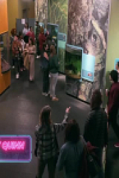 Impractical Jokers S10E17 480p x264-mSD EZTV