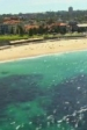 Bondi Vet S06E24 WEB x264-GIMINI [eztv]
