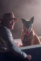 Dog Squad S12E10 XviD-AFG EZTV