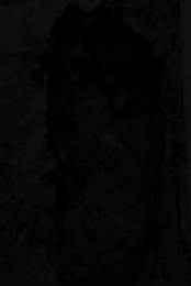 The UnXplained S04E10 480p x264-mSD EZTV