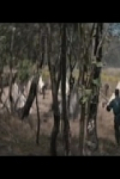 Grant S01E01 480p x264-mSD [eztv]