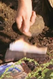 Christines Garden S01E06 XviD-AFG EZTV