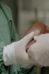 Catalyst S22E06 The Truth About Fasting 480p x264-mSD EZTV