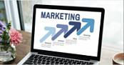[ FreeCourseWeb ] Udemy - Online Business Mastery Blueprint-