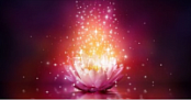 [ FreeCourseWeb ] Udemy - Karuna Ki Reiki Master Training