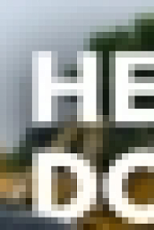 Heartland Docs DVM S02E06 Yappy Birthday WEBRip x264-CAFFEiNE[TGx]