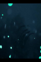 Our Oceans S01E03 480p x264-mSD EZTV