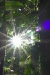 Ancient Aliens S14E11 WEB h264-KOMPOST [eztv]