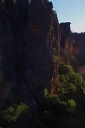 A Wild Year on Earth S01E06 WEB h264-BAE EZTV