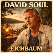 DAVID.SOUL.DISCOGRAPHY.(1964 – 2013).2026.WEB.FLAC.[16BITS.44.1KHZ]-EICHBAUM