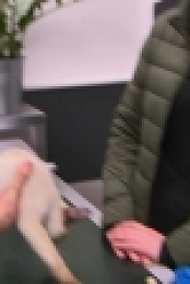 The Pets Factor S04E11 INTERNAL 720p WEB h264-WEBTUBE [eztv]
