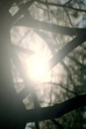 Wild Crime S02E04 480p x264-mSD EZTV