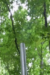 Moonshiners S11E05 480p x264-mSD EZTV