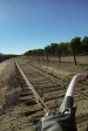 Mystery Diners S09E12 Train Robbery HDTV x264-W4F[eztv]