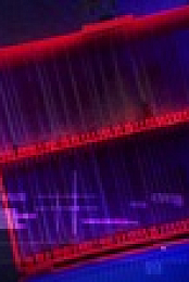 Forensic Files II S01 WEBRip x264-ION10 EZTV