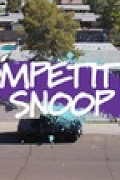 Triple Digit Flip S01E04 XviD-AFG EZTV