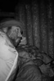 Alone S08E11 XviD-AFG EZTV