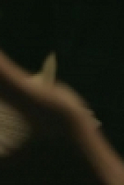 Butterfly S01E02 HDTV x264-MTB [eztv]